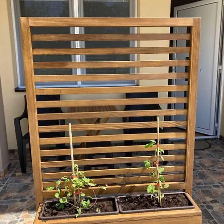 Srebrna Laguna Veliko Gradište