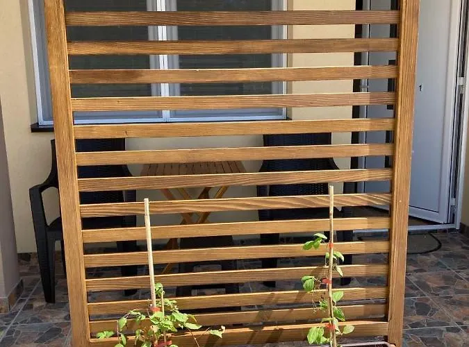 Srebrna Laguna Велико-Градиште